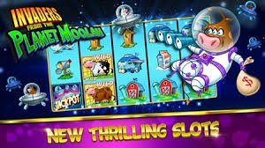 ZK898 VIP member platinum diamond crown manajer akun personal layanan eksklusif terbaik